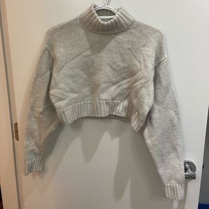 Aritzia Crop Sweater